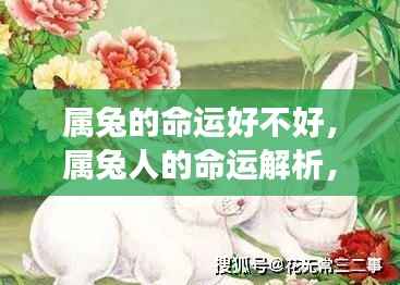 蛙鸣蚓叫 第6页