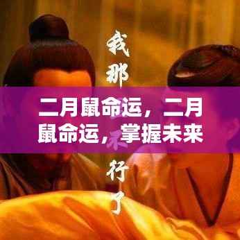 二月鼠命运详解，洞悉运势起伏，掌握未来走向