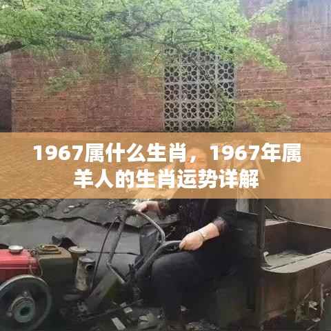 1967年属羊人的生肖运势详解及生肖属性解析