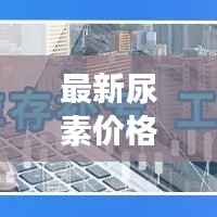最新尿素价格行情，最新尿素价格行情分析，市场动态及未来趋势展望