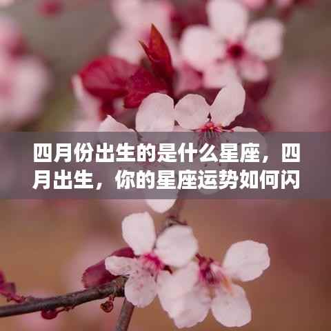 温文尔雅 第5页