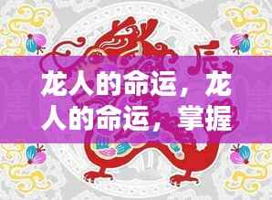 龙人命运掌控，成就辉煌人生的关键之道