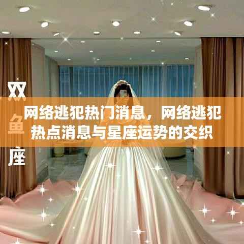 网络逃犯热点消息与星座运势的交汇，揭秘最新动态与趋势