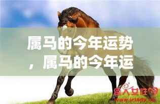 精雕细刻 第6页