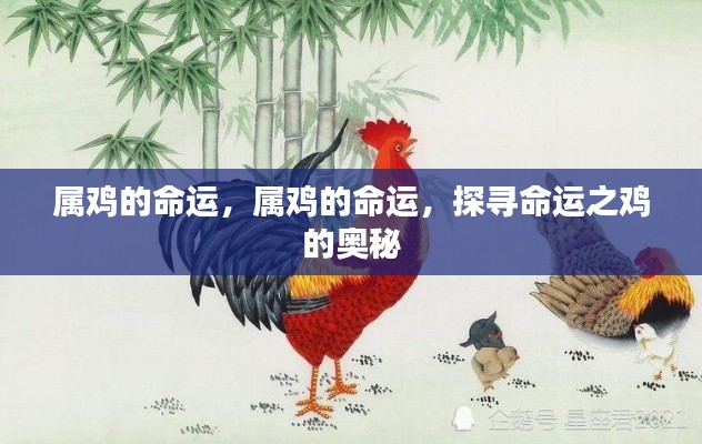 轻徙鸟举 第6页