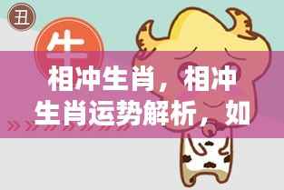 应对生肖相冲突的策略，解析相冲生肖运势与应对之道