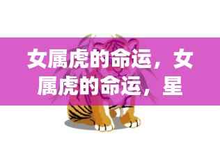女属虎的命运解析，星座运势与个性特质探讨