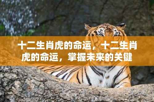 一言九鼎 第5页