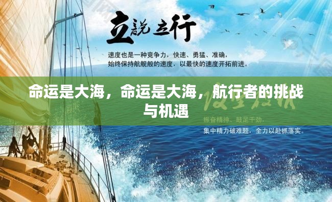 雅人深致 第5页