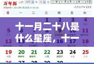 十一月二十八日星座运势解析及特点概览