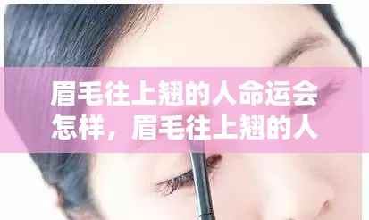 眉毛往上翘的人的命运解析，命运轨迹如何？
