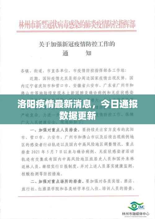 洛阳疫情最新消息，今日通报数据更新